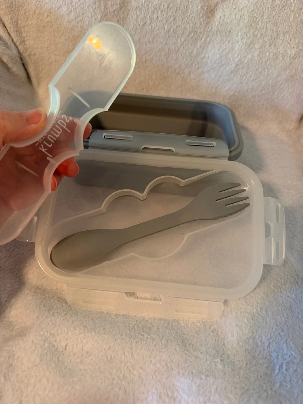 Clear Plastic Container and Collapsible Dish with Fork